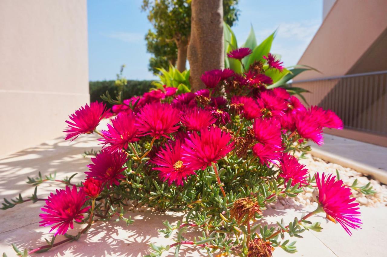 Apartament Casa Laranja, Aromas Burgau Zewnętrze zdjęcie